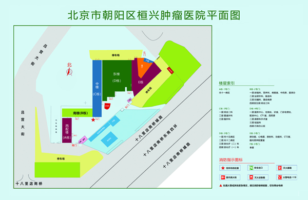 操逼视频网北京市朝阳区桓兴肿瘤医院平面图